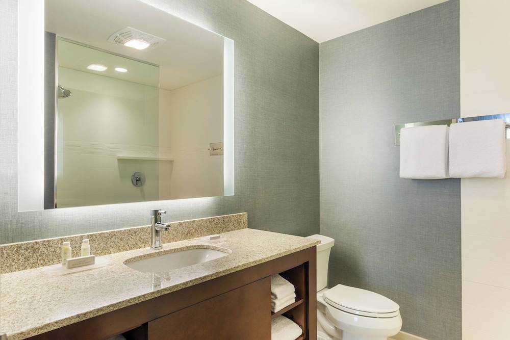 Studio King Room with Sofa Bed and Roll-In Shower - Mobility/Hearing Accessible