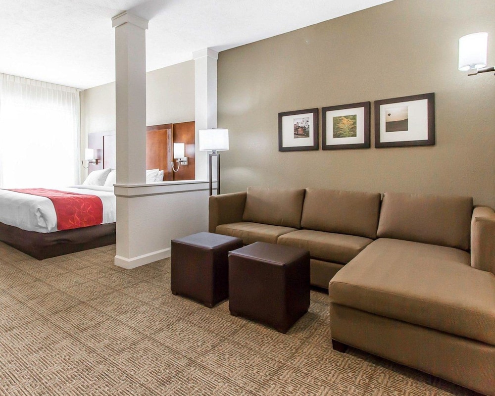 Suite, 1 King Bed with Sofa bed