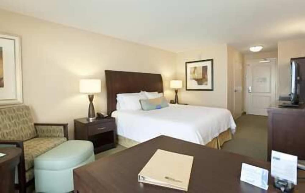 Room, 1 King Bed, Accessible photo 3