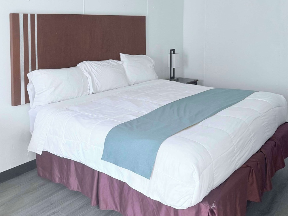 Room, 1 King Bed, Accessible, Non Smoking photo 1