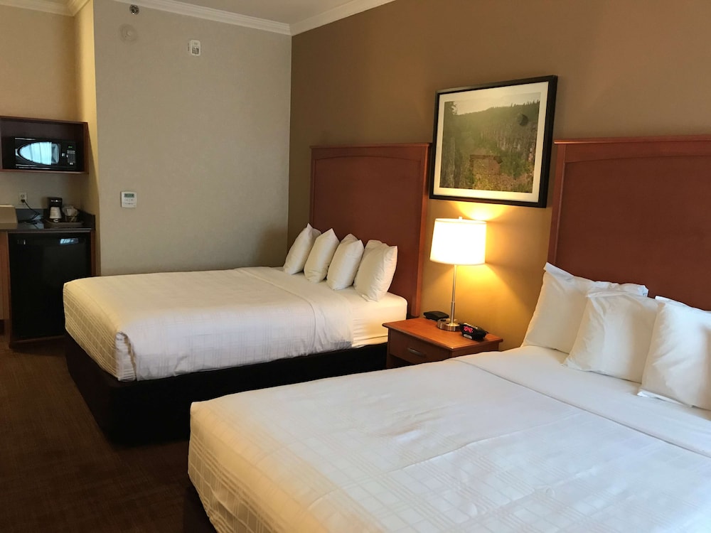 Business Room, 2 Queen Beds, Non Smoking, Refrigerator & Microwave photo 2