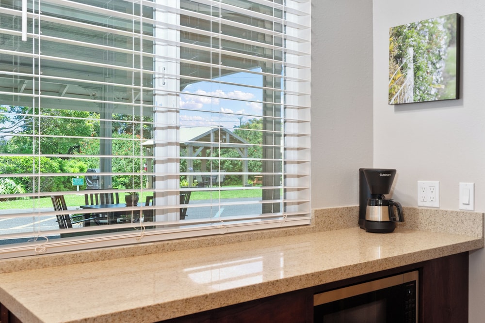 Deluxe Room, Kitchenette - Photo 10
