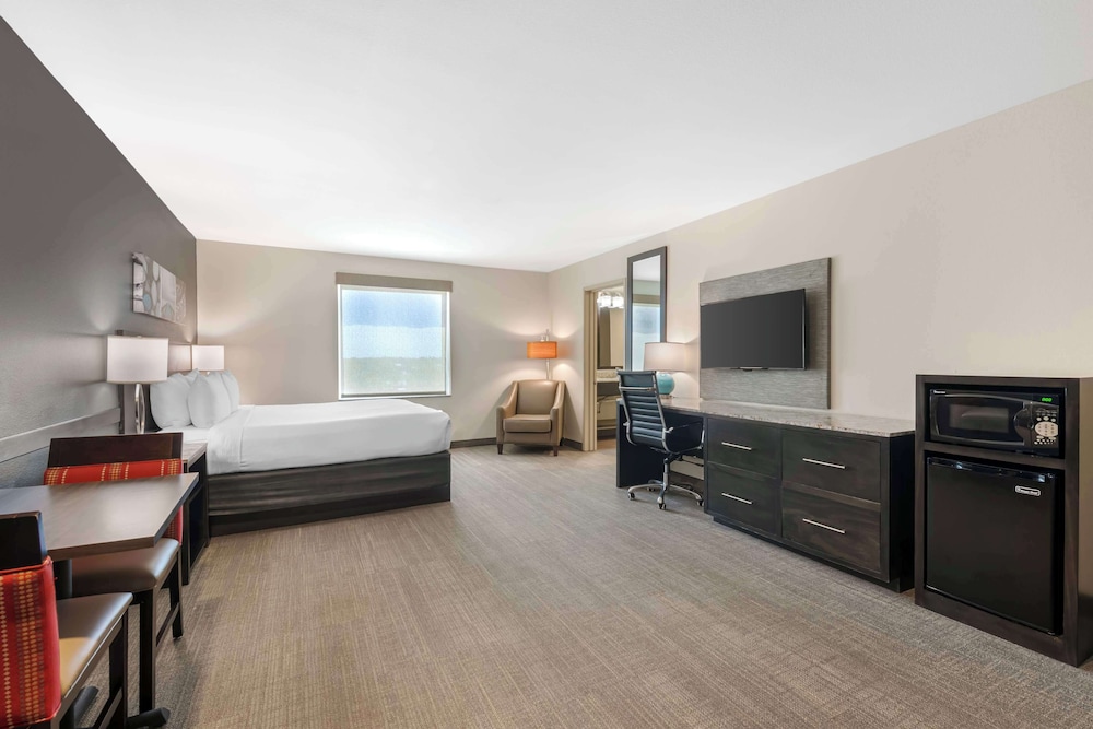 Suite, 1 King Bed, Non Smoking, Jetted Tub (with Sofabed)