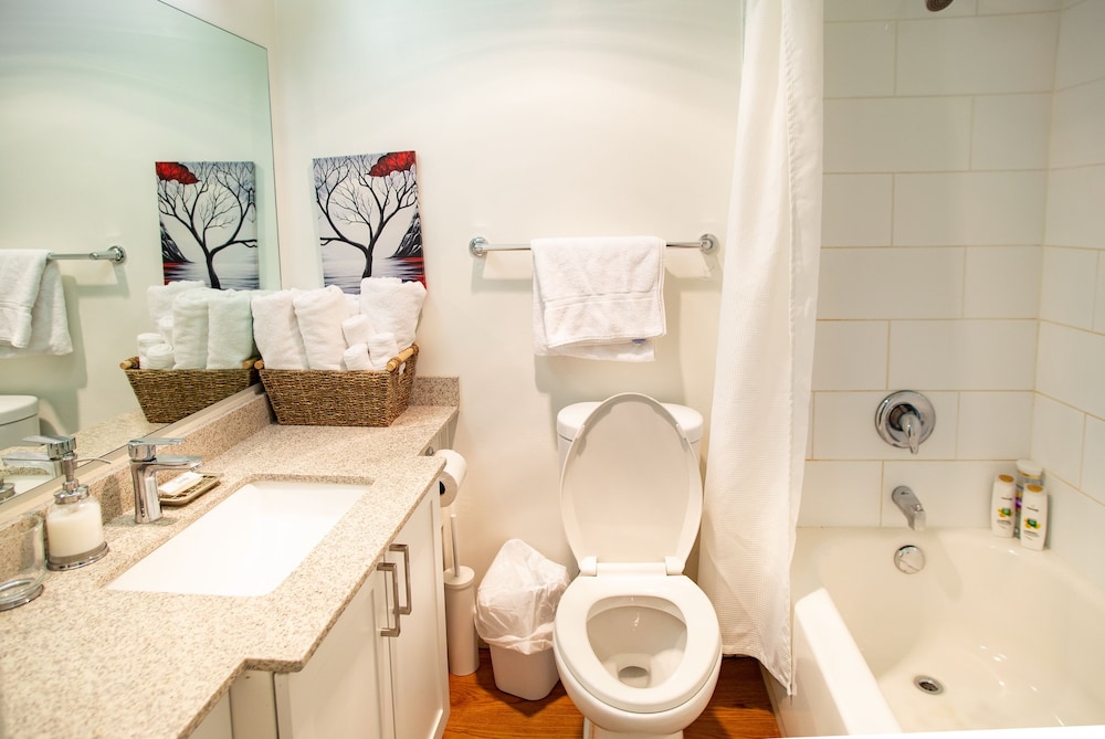 Suite, 1 Bedroom photo 3
