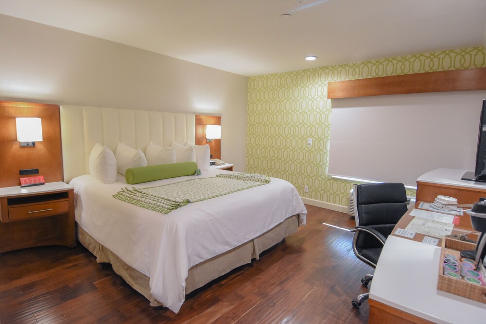 Suite, 1 Bedroom - Photo 2