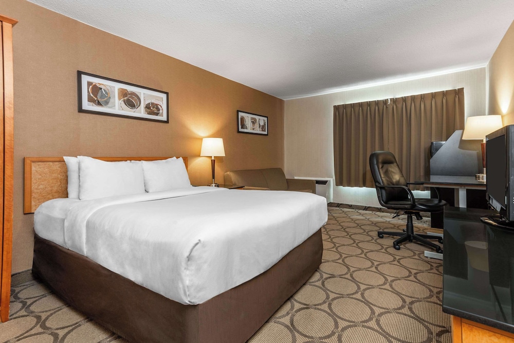 Standard Room, 1 Queen Bed, Non Smoking photo 1