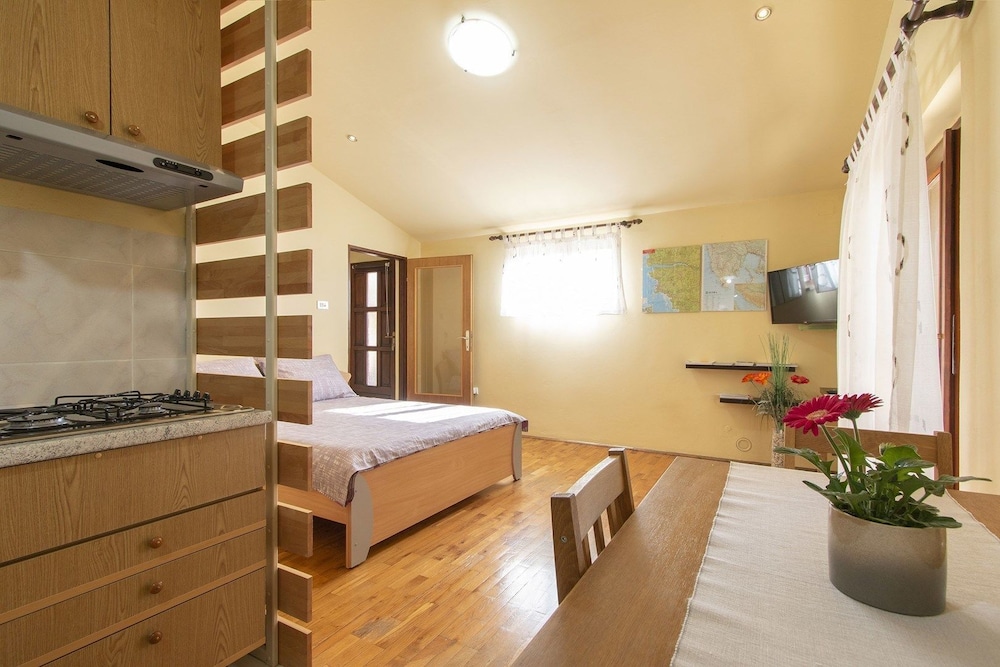 Apartment, 1 Double Bed photo 3