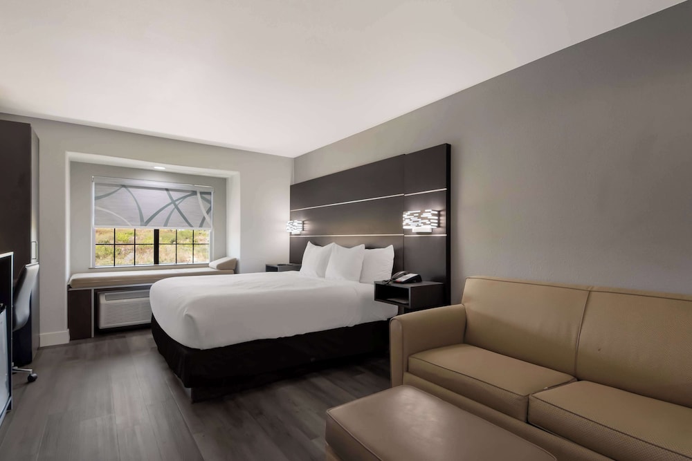 Suite, 1 King Bed, Accessible, Refrigerator & Microwave (with Sofabed) - Photo 1