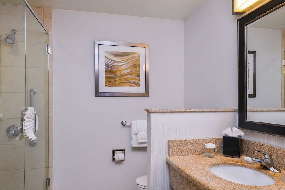 Suite, 1 Bedroom - Photo 12
