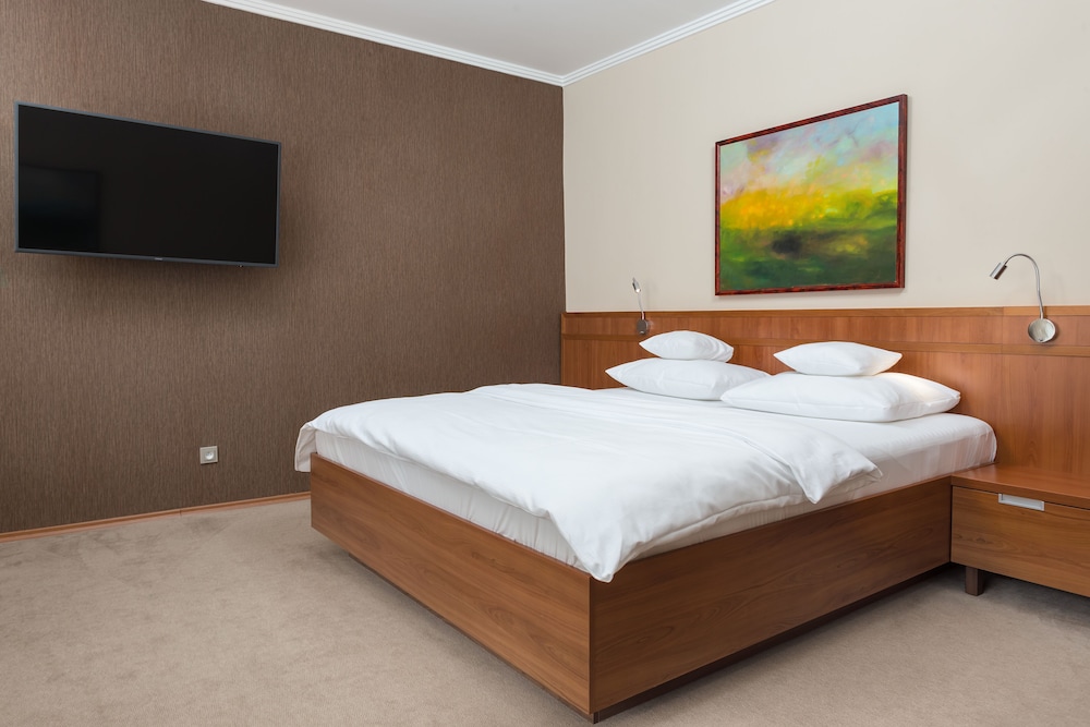 Studio, 1 King Bed, Kitchenette photo 3