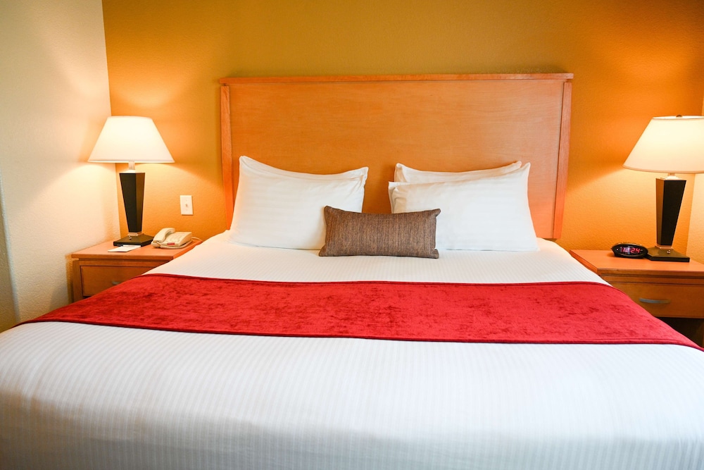 Standard Room, 1 King Bed, Non Smoking, Kitchenette photo 2