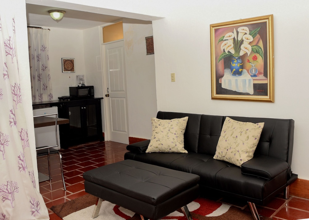 Basic Apartment, 1 Queen Bed with Sofa bed