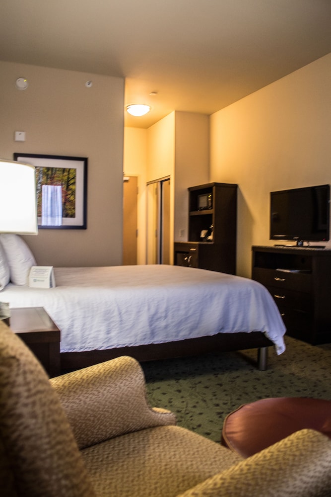 Room, 1 King Bed, Accessible - Photo 4