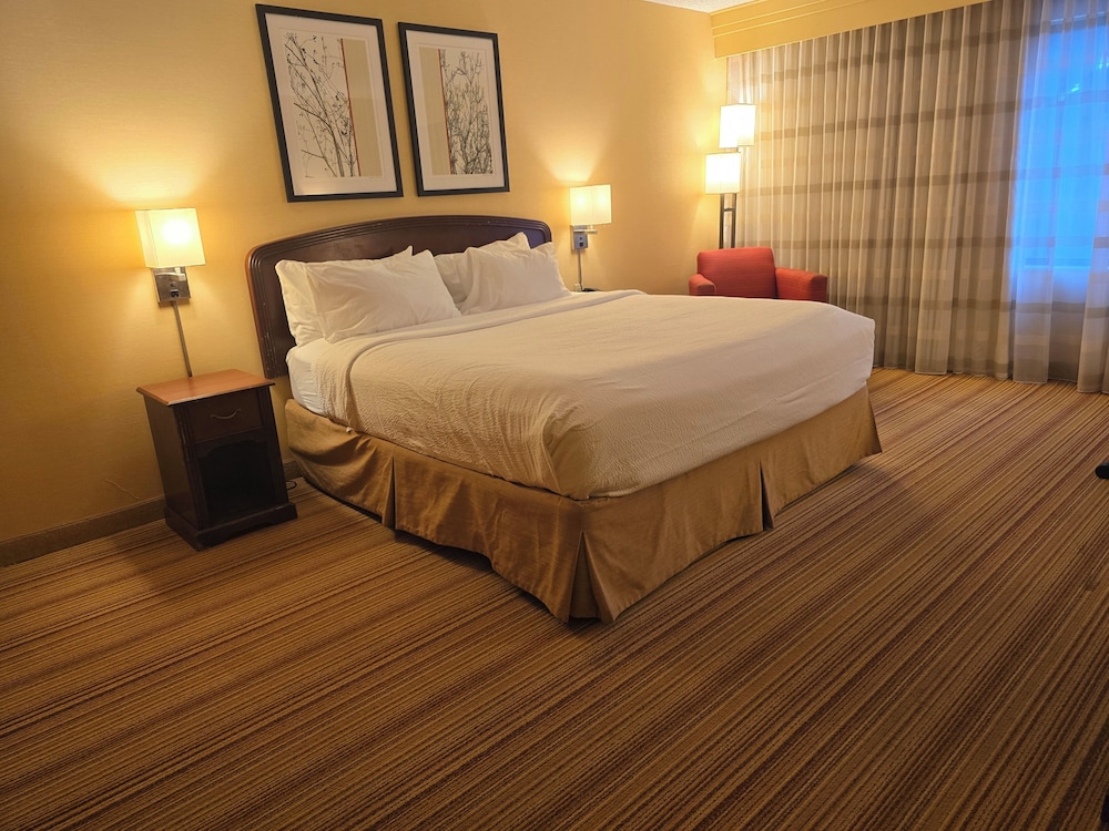 Room, 1 King Bed, Accessible, Non Smoking - Photo 3