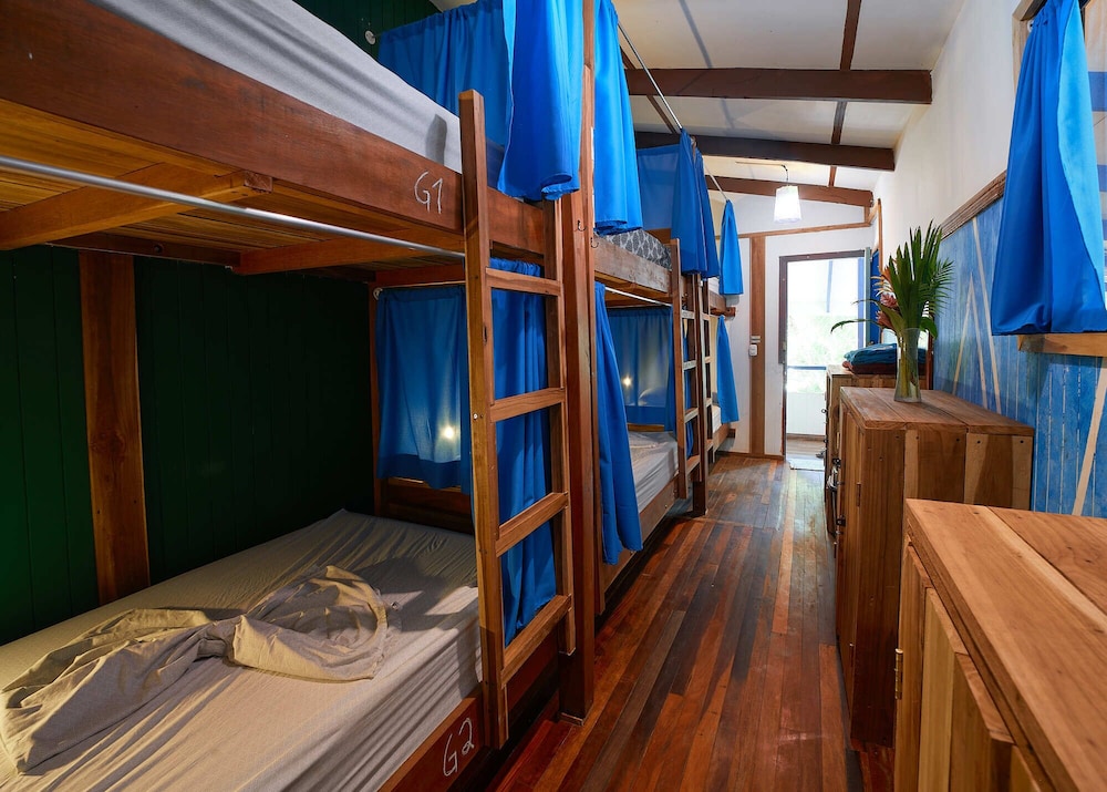 Standard Shared Dormitory, Women only photo 2