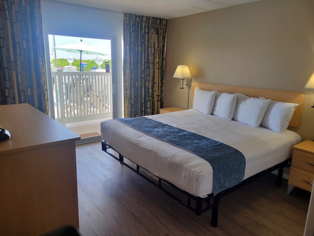 Basic Single Room