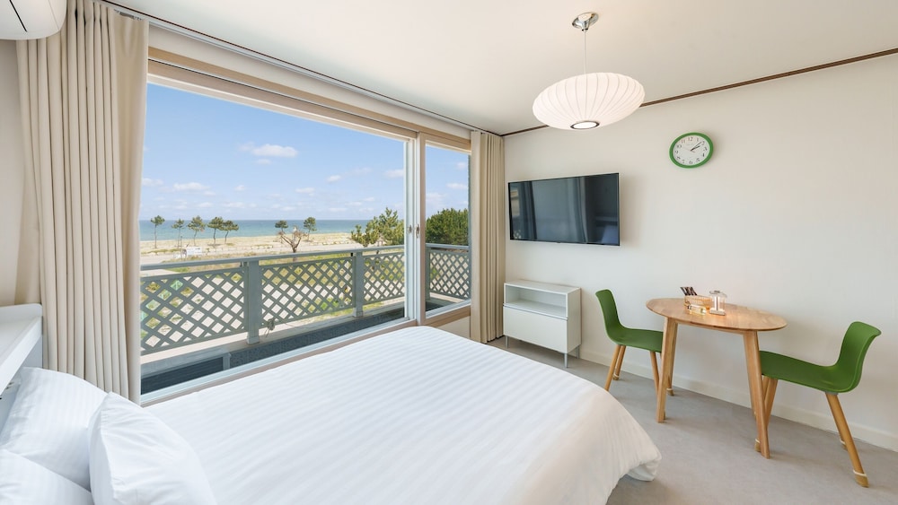 Basic Room, 1 Bedroom (203 (Ocean View / DOGS ONLY))