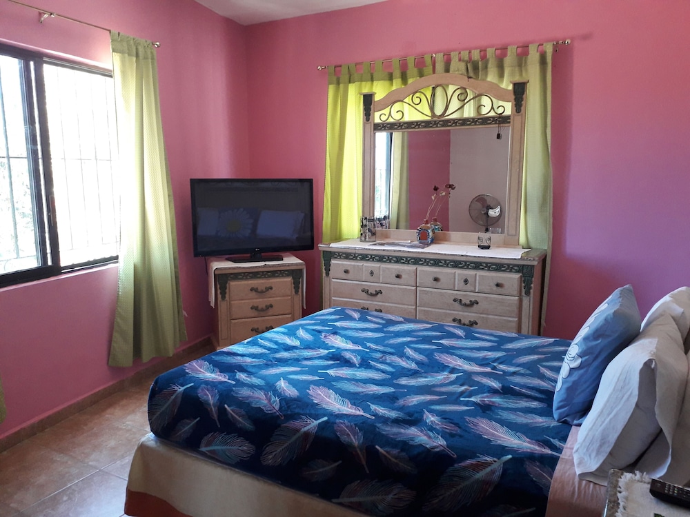 Economy Room, 1 Bedroom photo 1