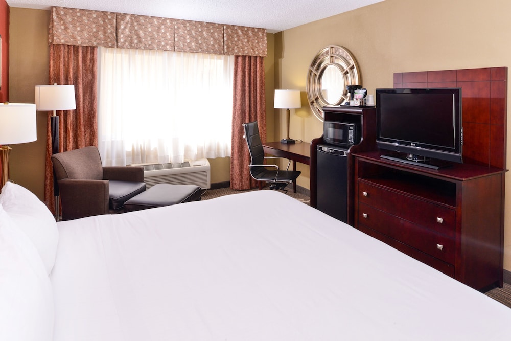 Standard Room, 1 King Bed, Accessible (Communications, Mobility, Access Tub) - Photo 3