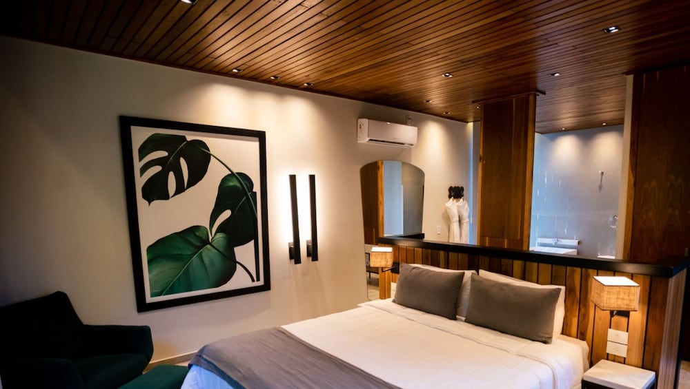 Deluxe Studio Suite photo 1