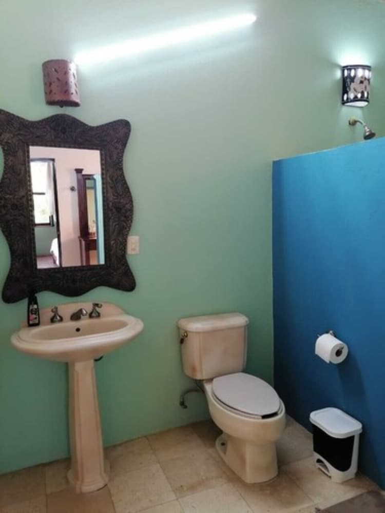 Family Room photo 3