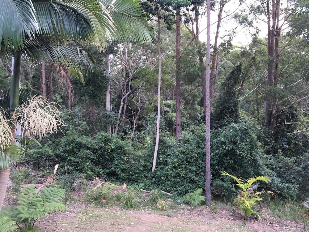 Villa (Disabled - Rainforest Views) photo 2