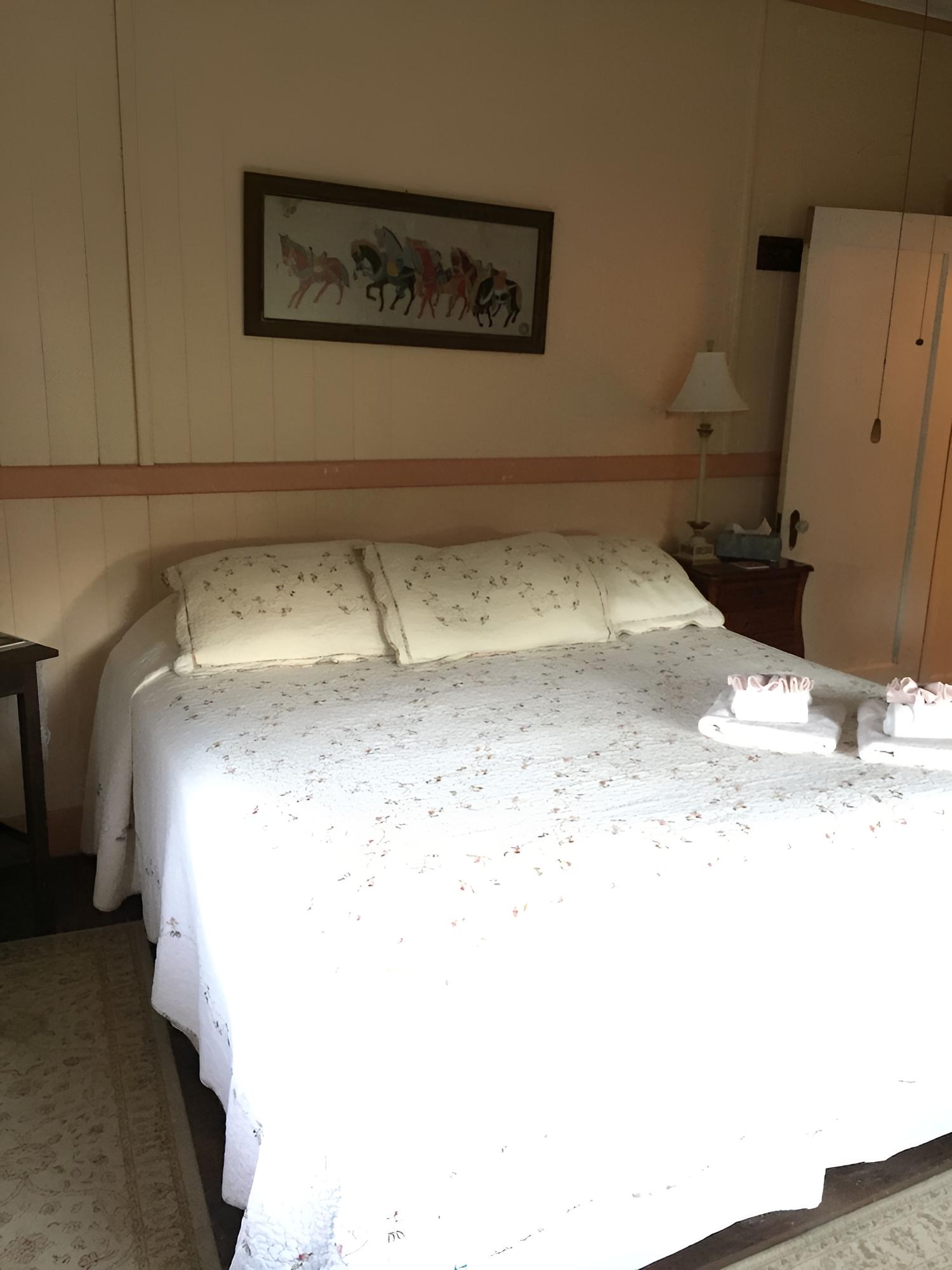 Comfort Double Room, 1 King Bed, Garden View (Peach) photo 3