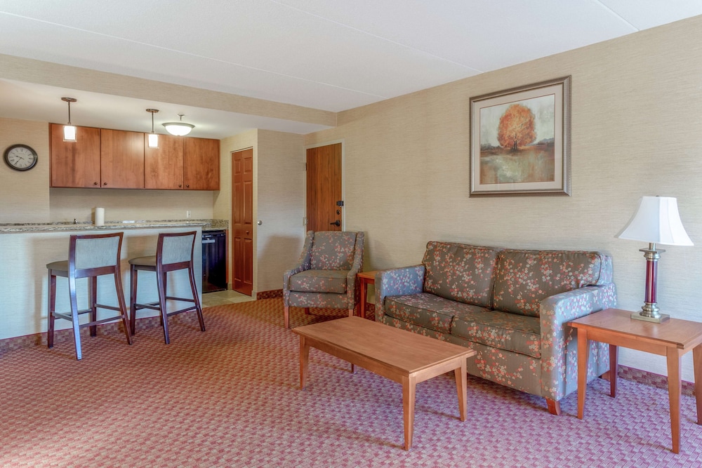 Suite, 1 King Bed, Non Smoking