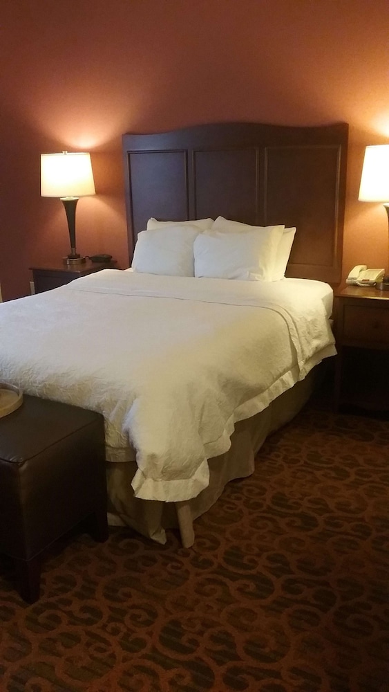 Room, 1 Queen Bed, Accessible (Mobility & Hearing, Roll-in Shower) - Photo 4