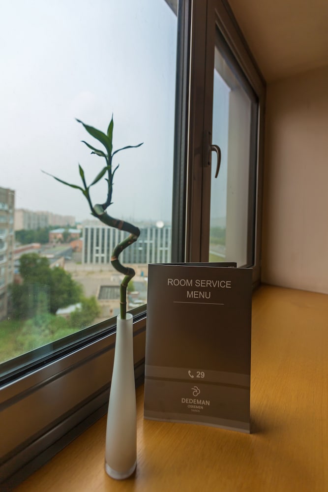 Superior Room, City View photo 3