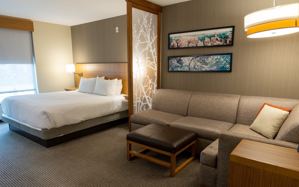 Room, 1 King Bed with Sofa bed (High Floor)