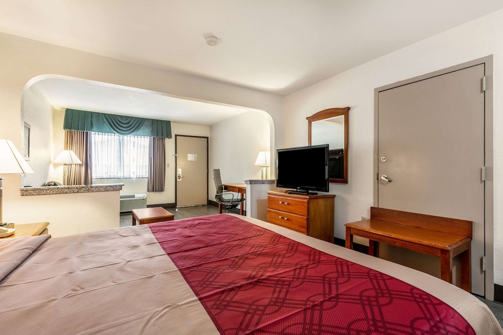 Suite, 1 King Bed, Smoking photo 3