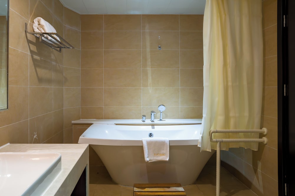 Business Single Room, Balcony, Sea View photo 3