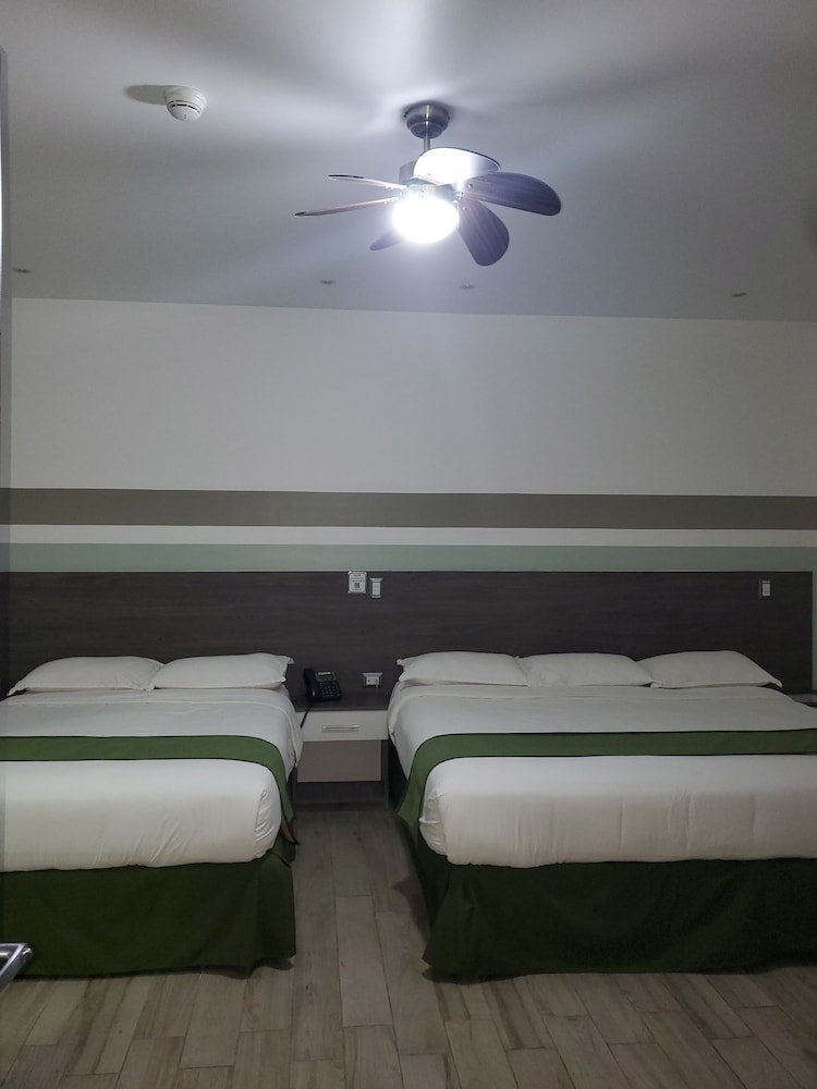Deluxe Quadruple Room photo 3