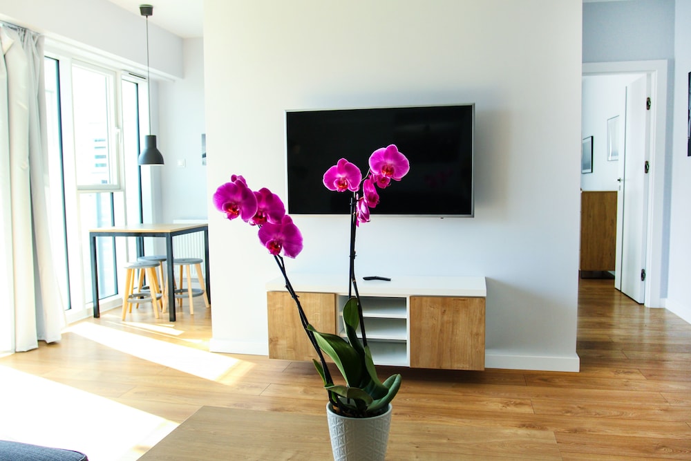 Superior Apartment, 1 Bedroom