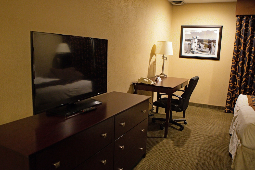 Standard Room, 1 King Bed, Accessible, Non Smoking photo 1