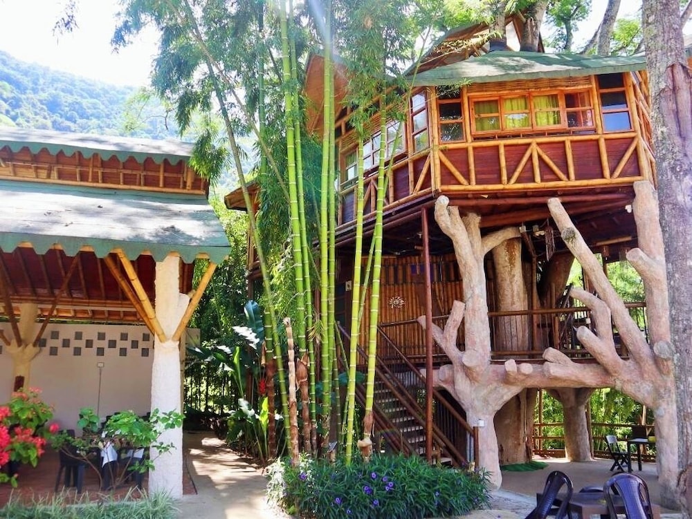 Tree House