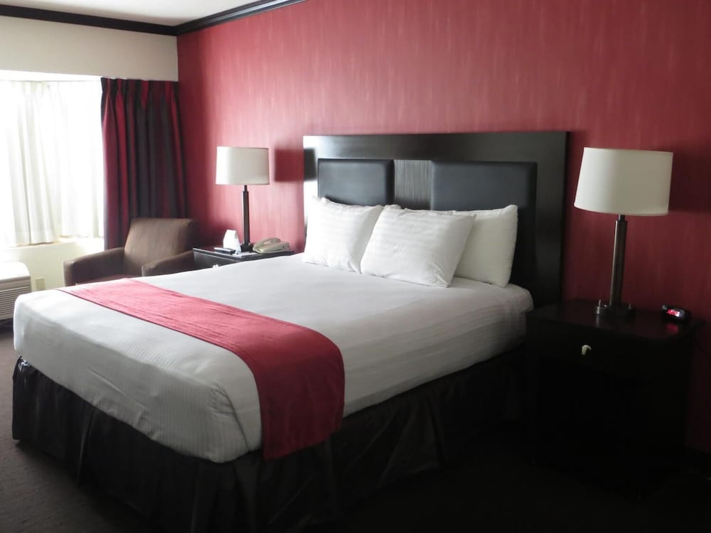 Room, 1 King Bed, Non Smoking - Photo 1