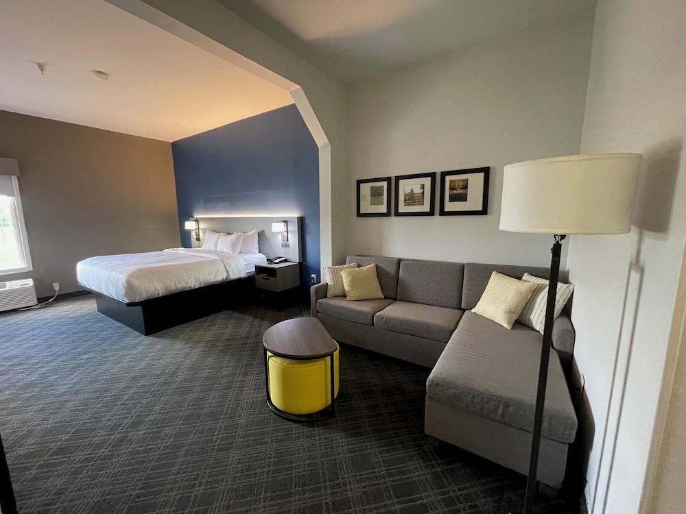 Suite, 1 King Bed with Sofa bed, Non Smoking - Photo 3
