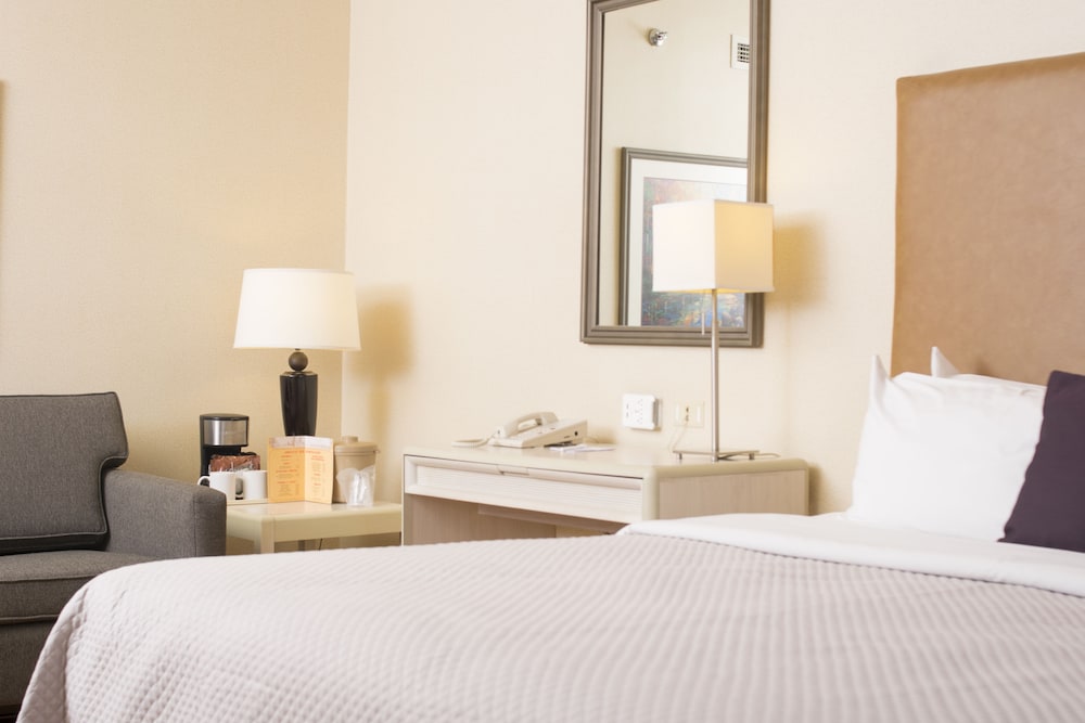 Deluxe Room - Photo 3