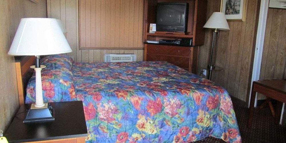 Classic Room, 1 King Bed, Non Smoking, City View photo 3