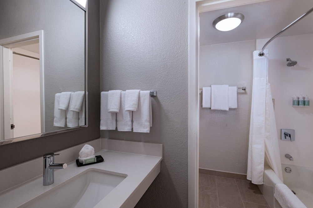 Room, 1 King Bed (Mobility/Hearing Accessible, Tub) - Photo 2