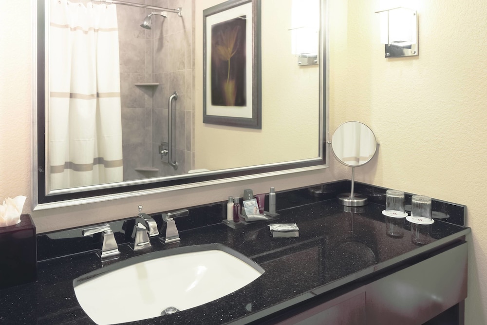 Suite, 1 Bedroom - Photo 5