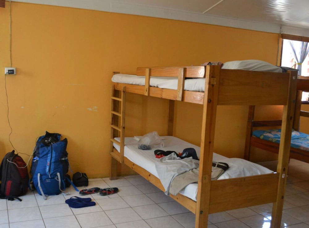 Mixed Dorm - 12 Bunk Beds photo 2