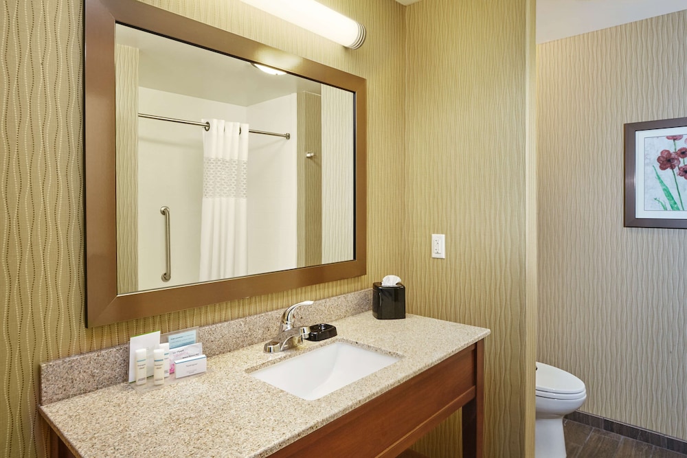Room, 1 King Bed, Refrigerator & Microwave photo 3