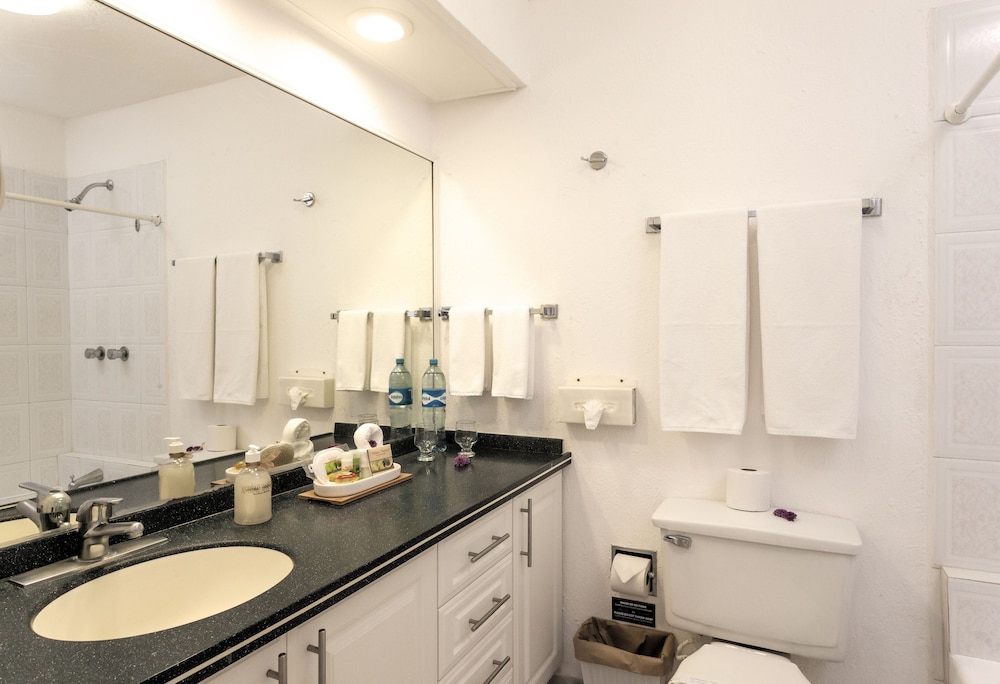 One Bedroom Suite - 1 King Bed