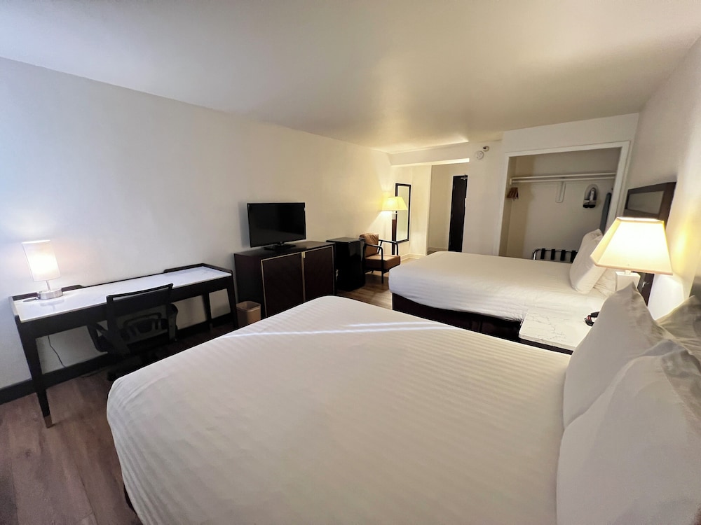 Basic Room photo 3