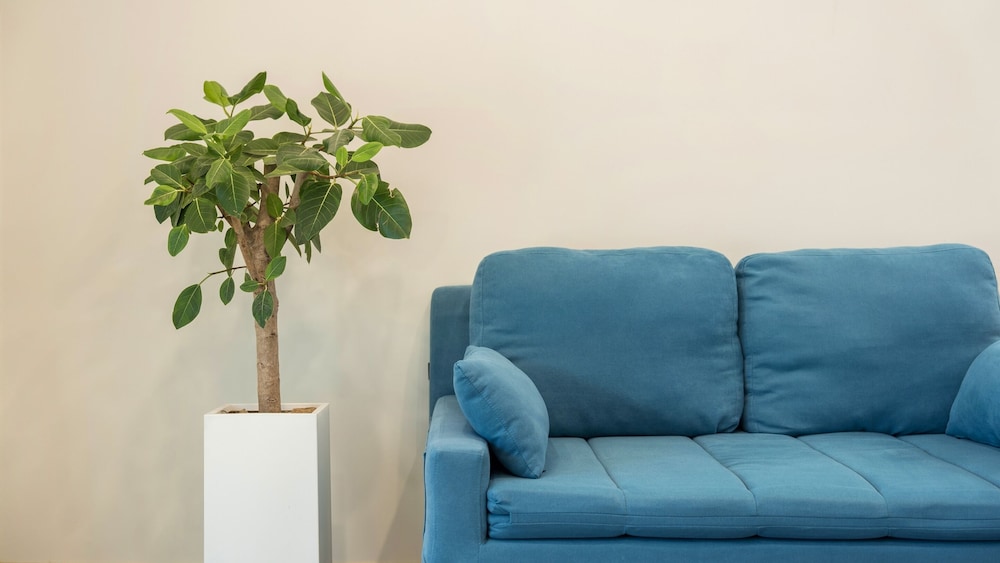 Basic Room, 1 Bedroom (Andamiro A(Entire house/Spa/BBQ))