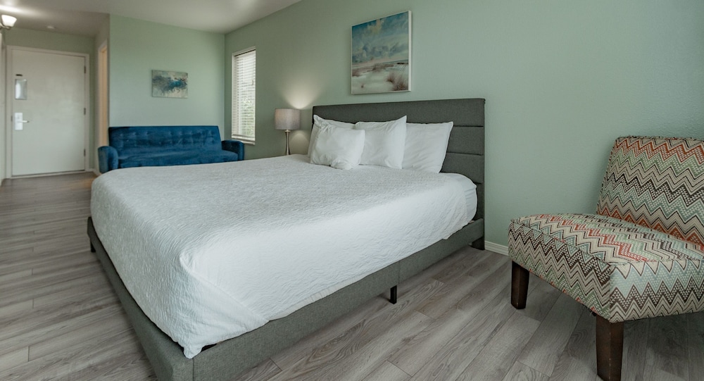 Standard Room, 1 King Bed, Bay View photo 3
