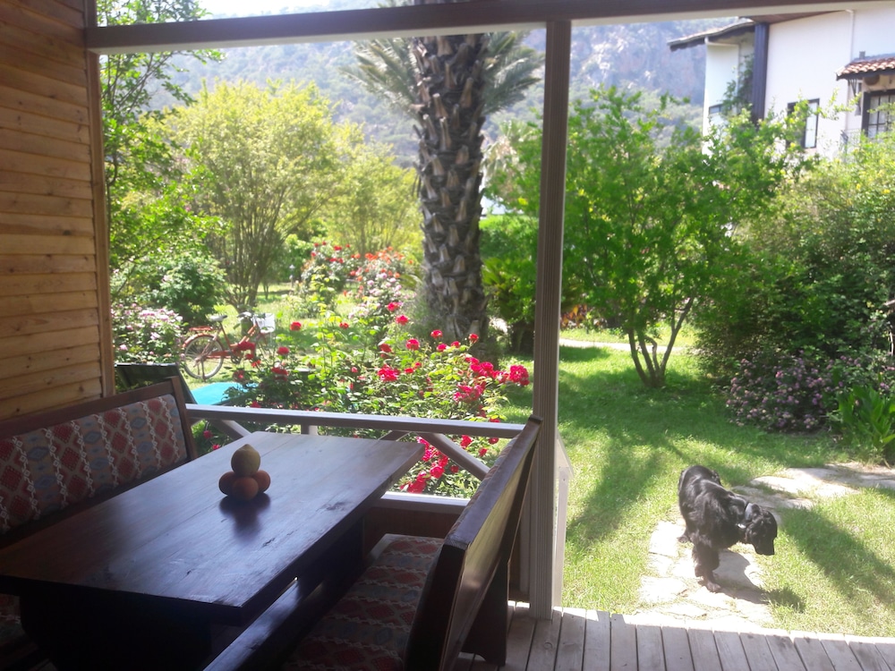 Family Bungalow, 2 Bedrooms, Terrace (with living room) photo 3